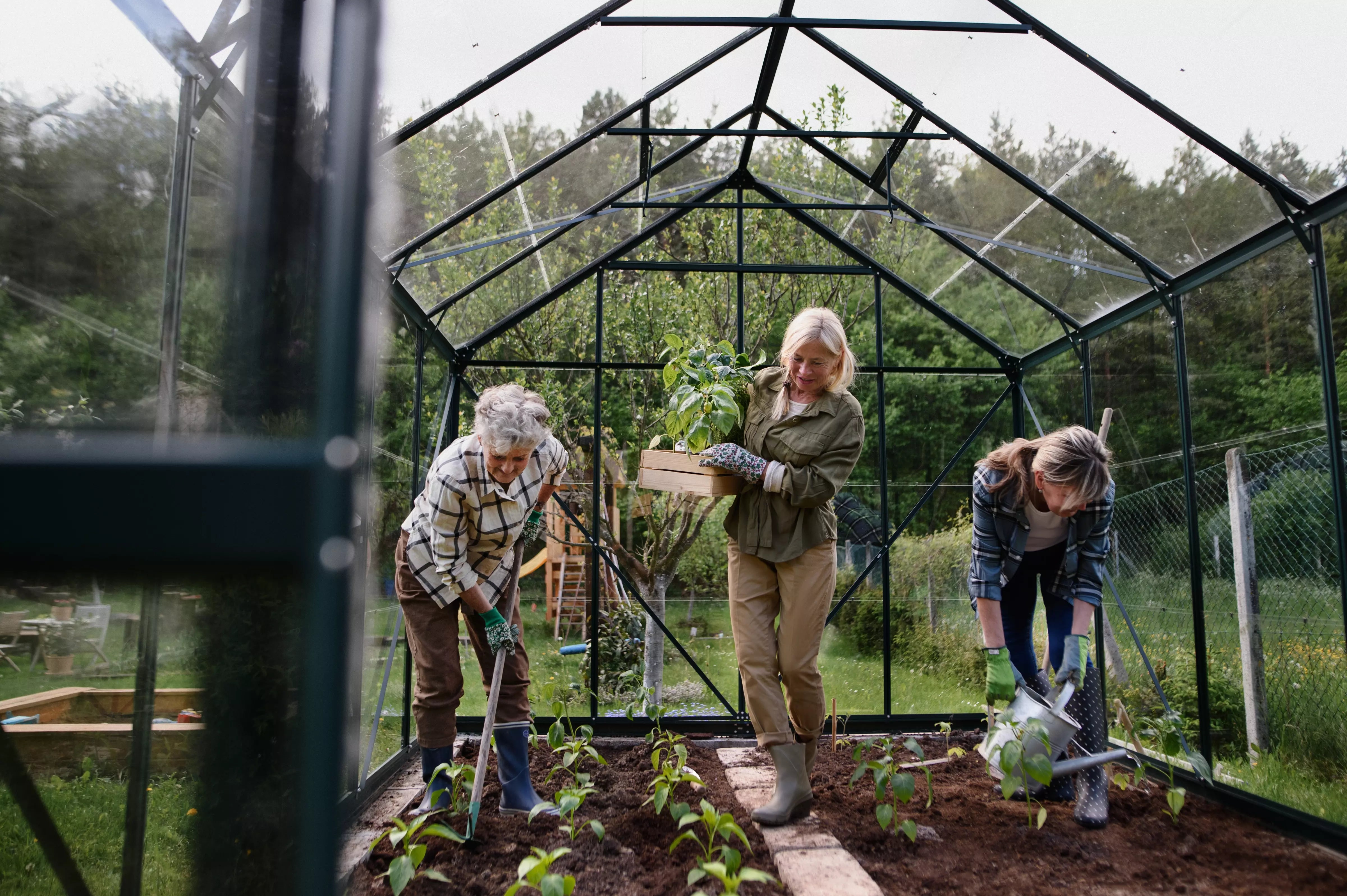 Comment Faire un Potager sous Serre ?