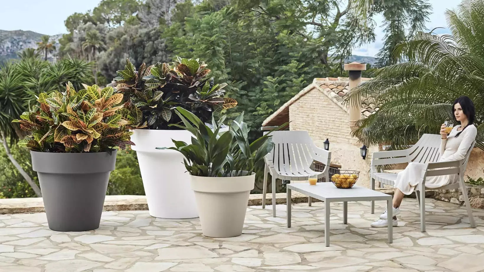 quelle plante mettre dans un grand pot extérieur ?