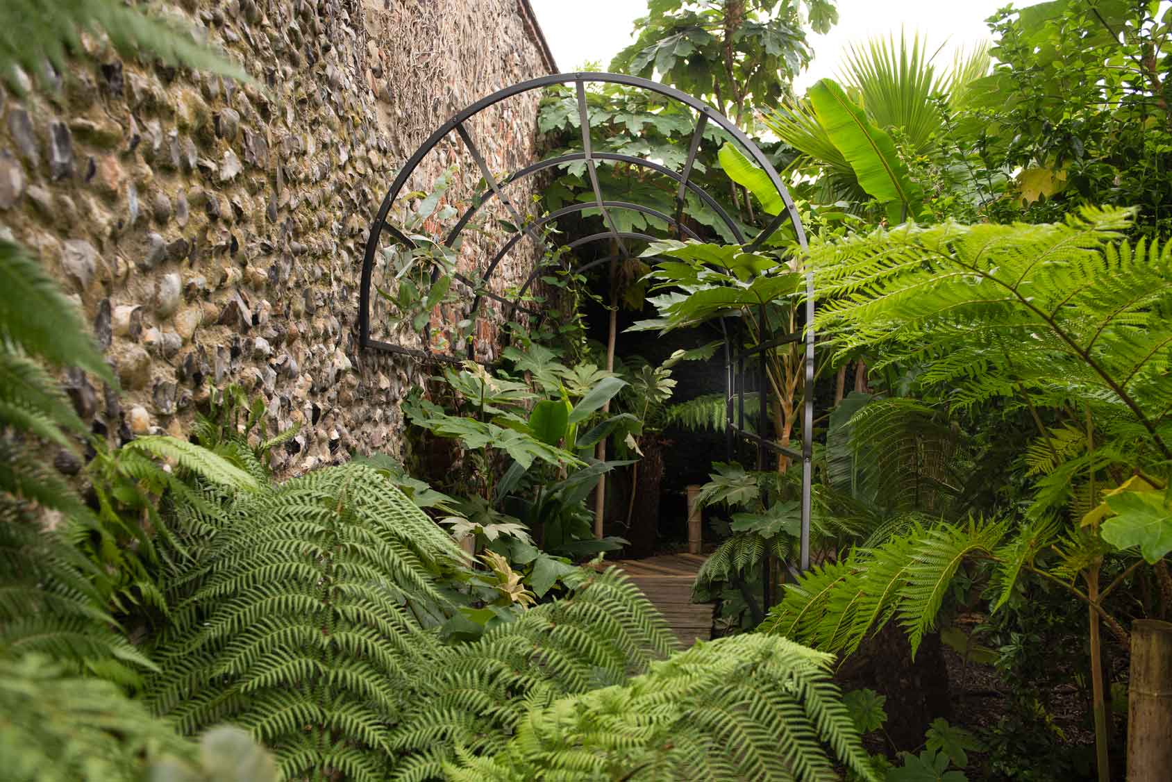 Pergola_Mural_Tunnel