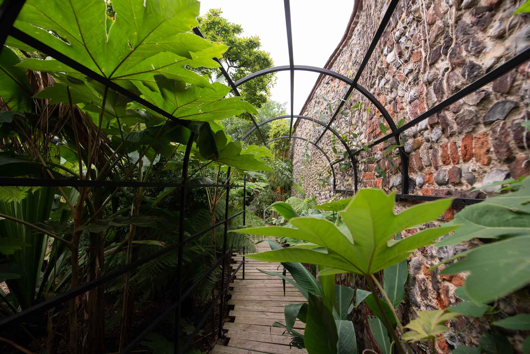 Pergola_exterieur_Mural_Tunnel