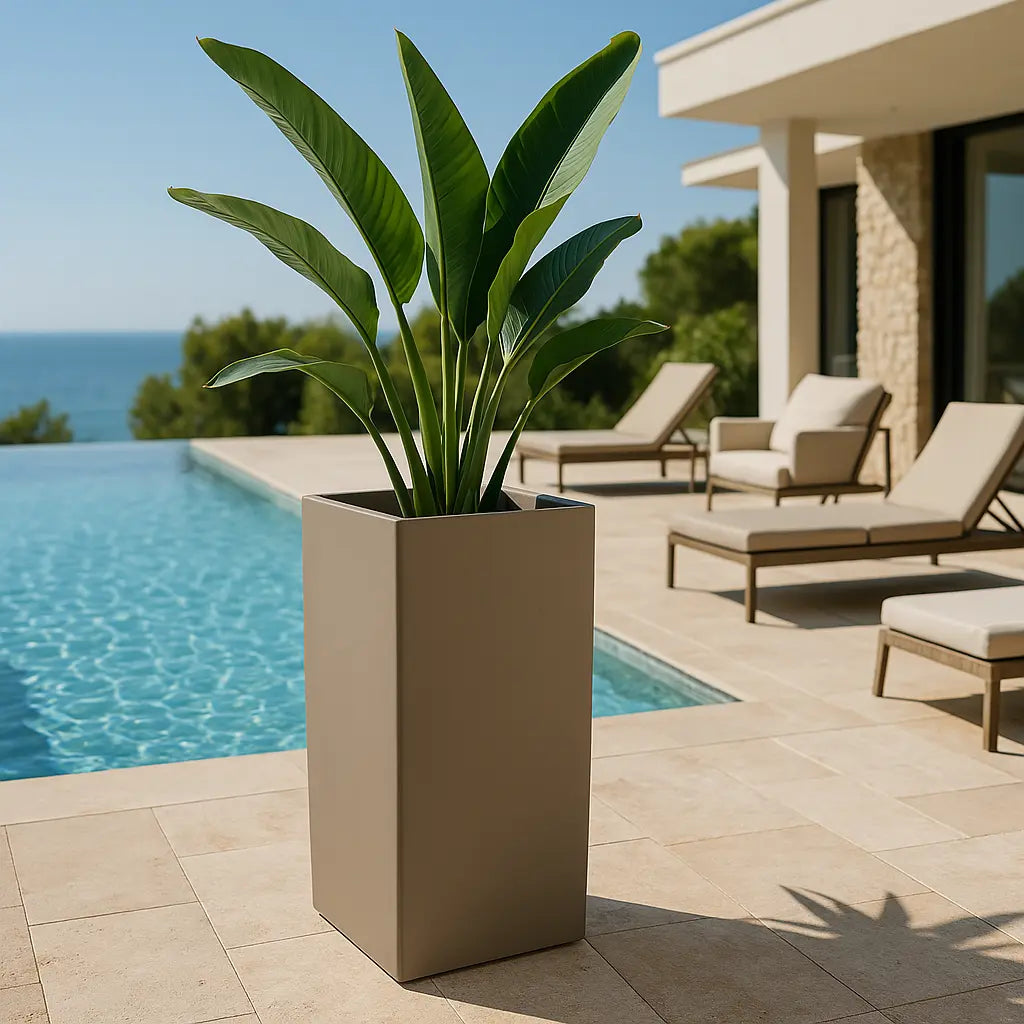 Pot - Cosmos Colonne