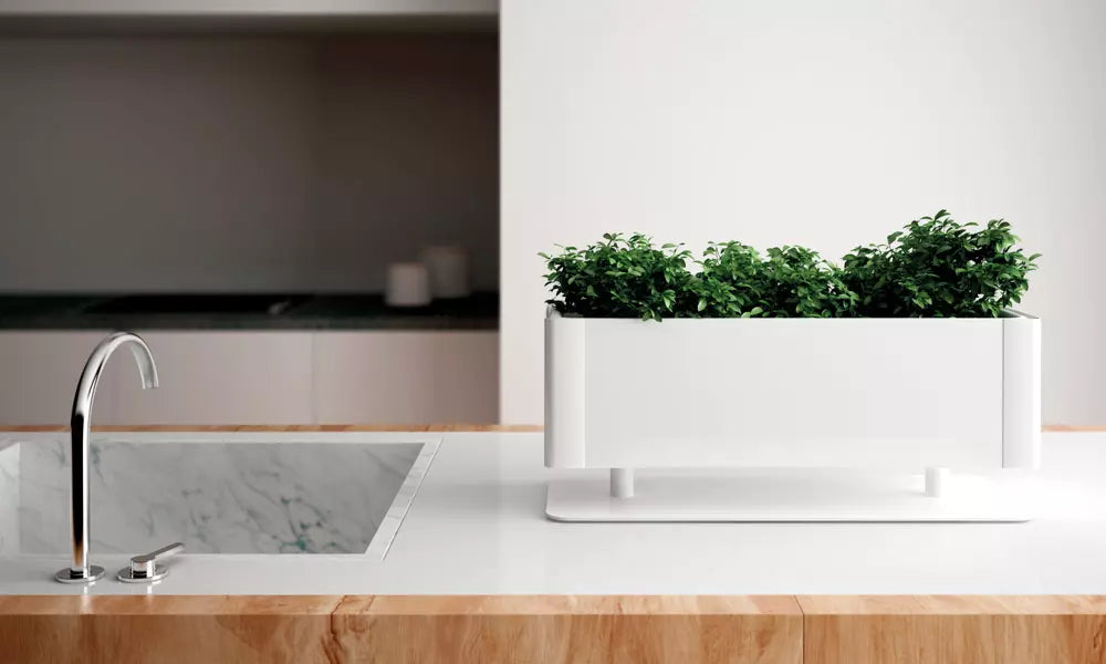 jardiniere-suspendue-interieur-design