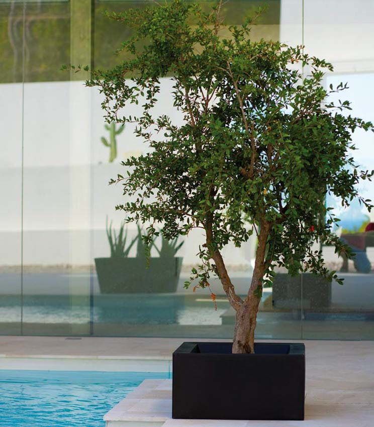 pot de fleurs carre noir land vondom