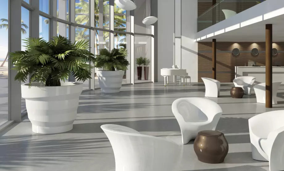 pot de felurs palmier