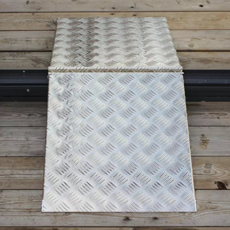 Rampes d'accès pour Serre de Jardin (x2)