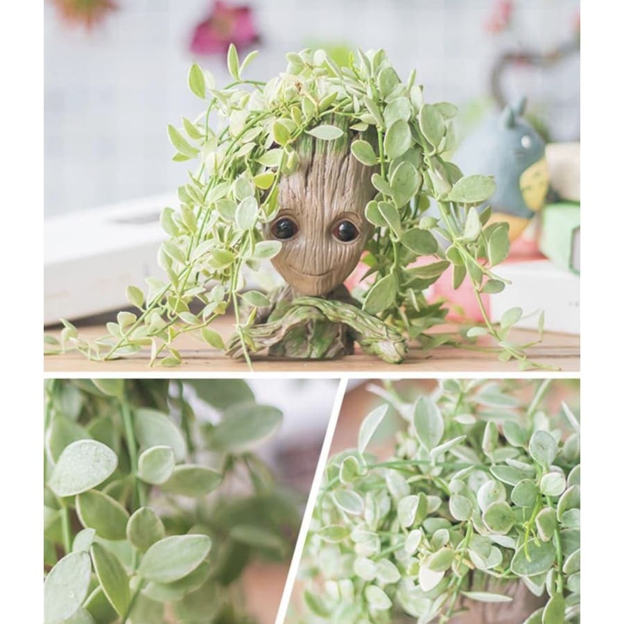 Vase <br> Groot Affectueux (x2)