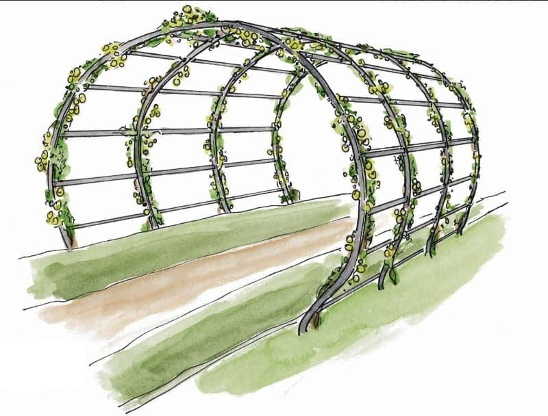 Arche de Jardin - Moon