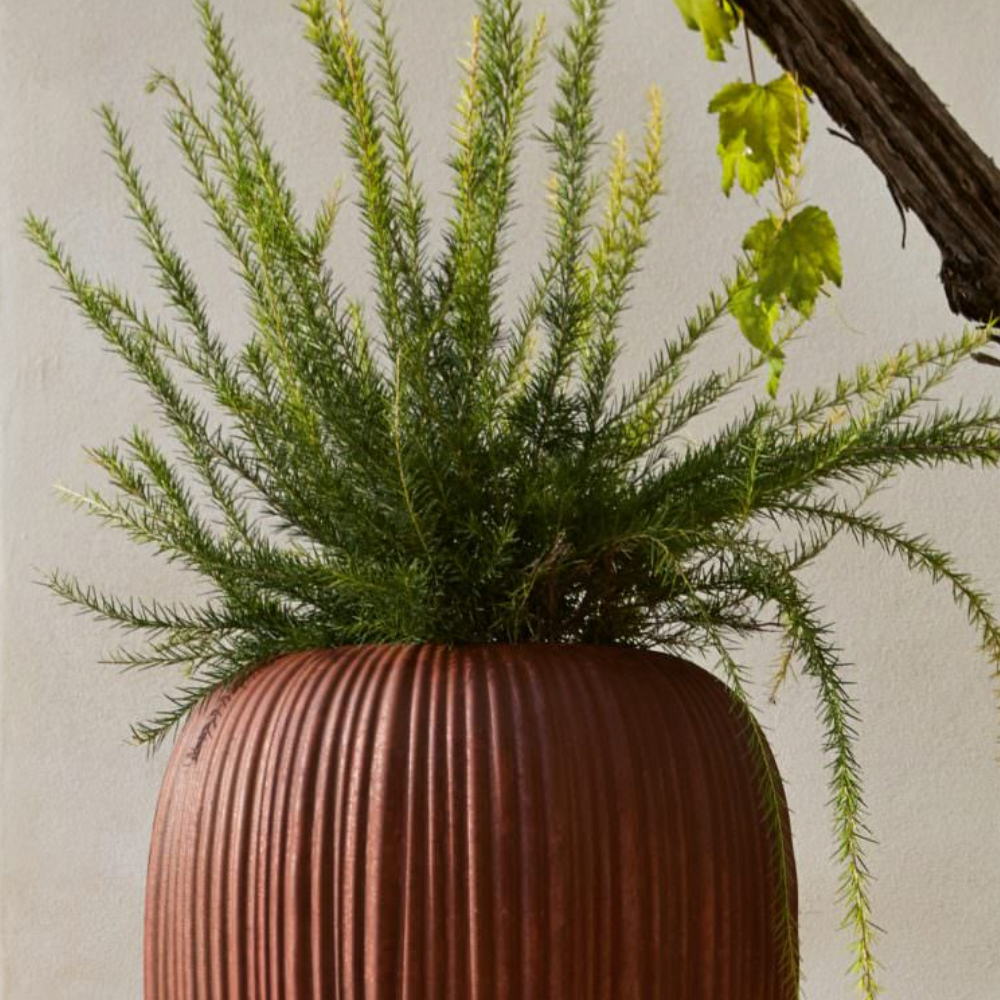 Pot - Skin