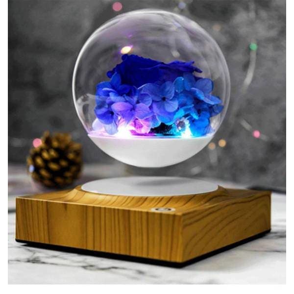 Boule de Verre Lévitation Magnétique