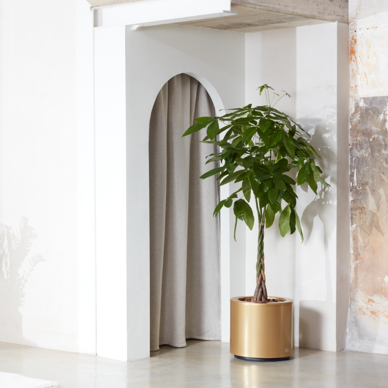 grand-pot-fleurs-inox