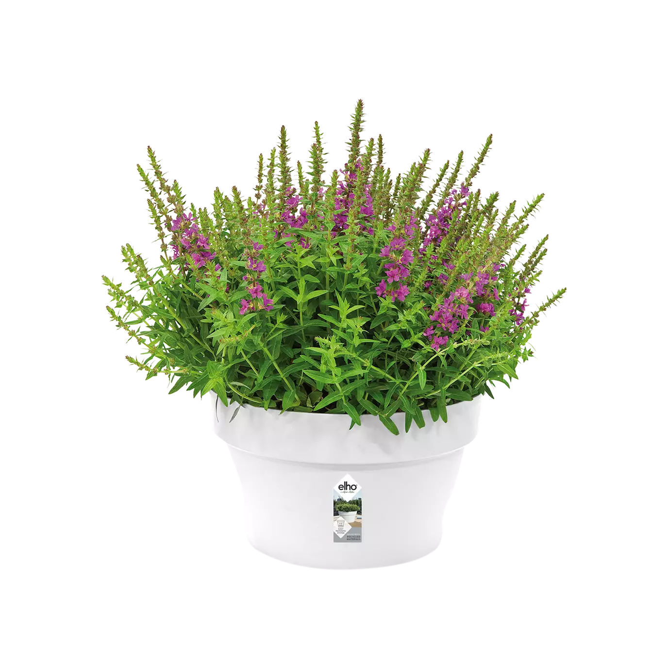 Pot - Loft Urban (x5)
