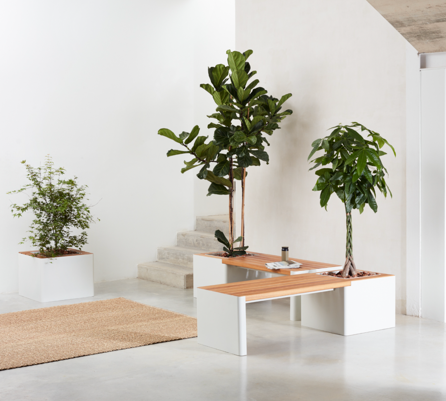 Jardinière - Woodgreen