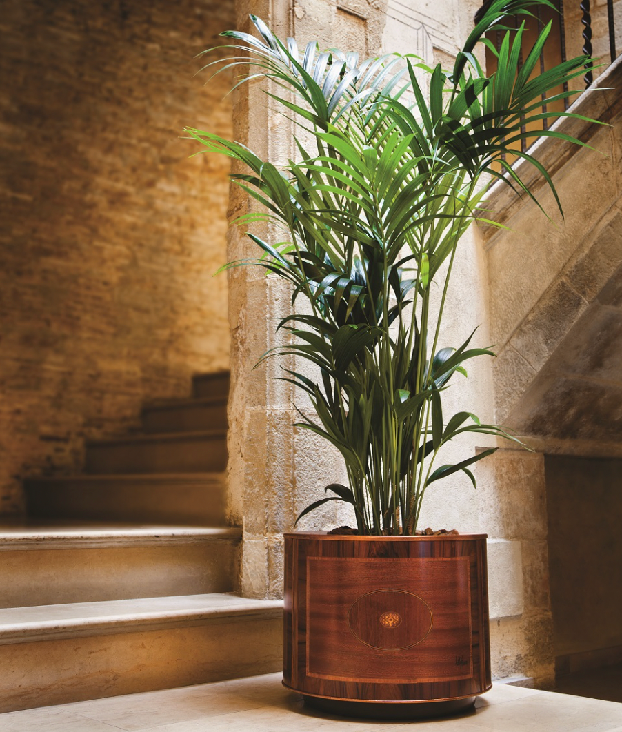 pot-fleurs-haut-gamme