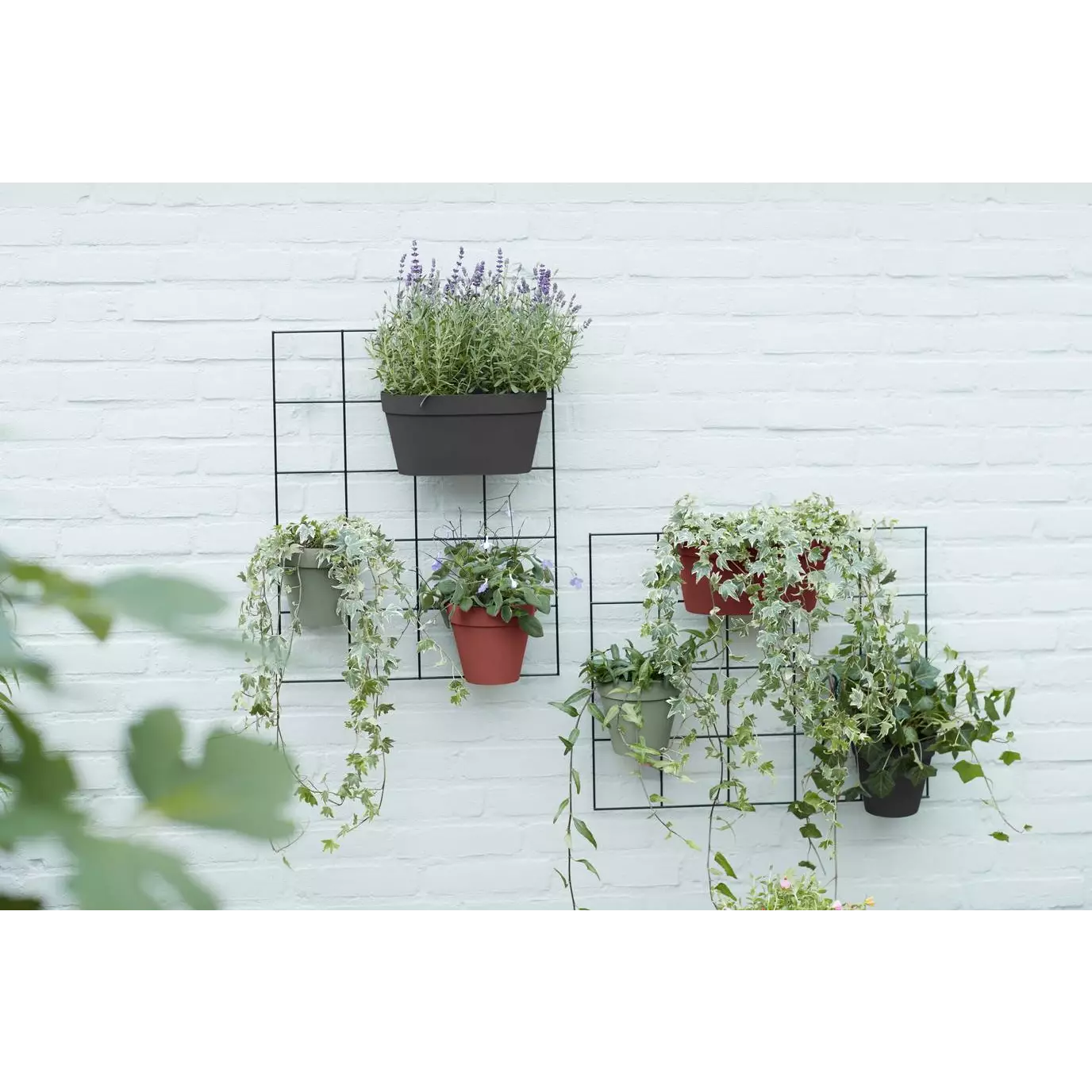 Pot Mural Plastique <br> Wall duo (x10)