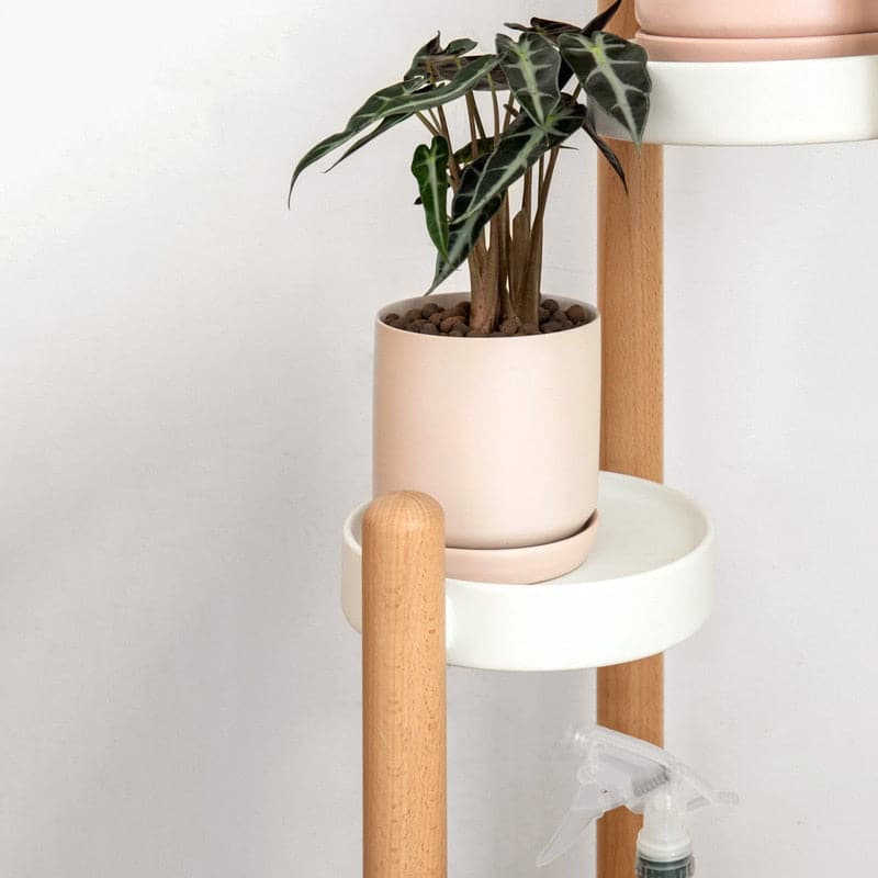 Porte Plante en Bois sur Pied <br> Havane