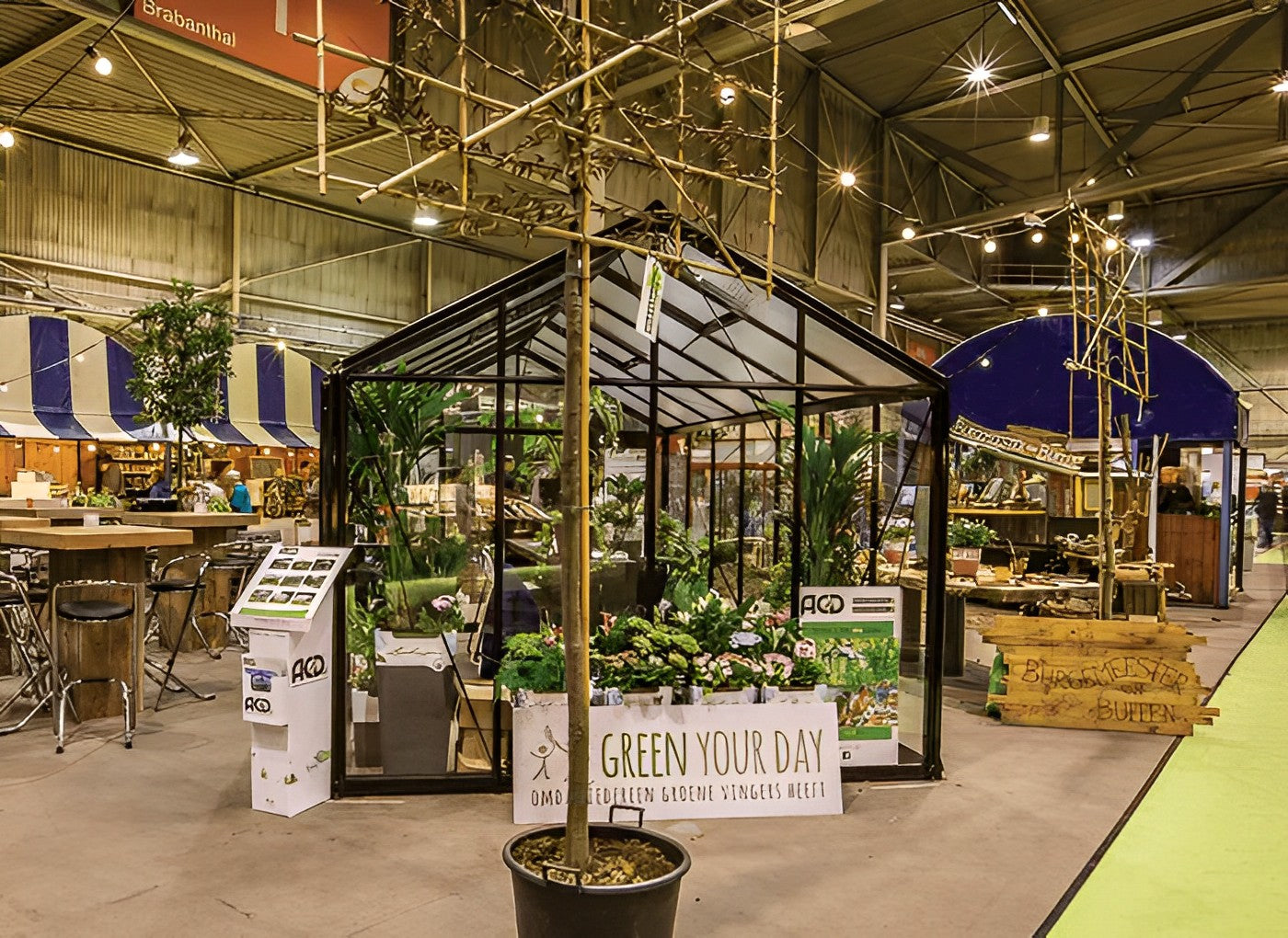 serre-jardin-15m2-verre