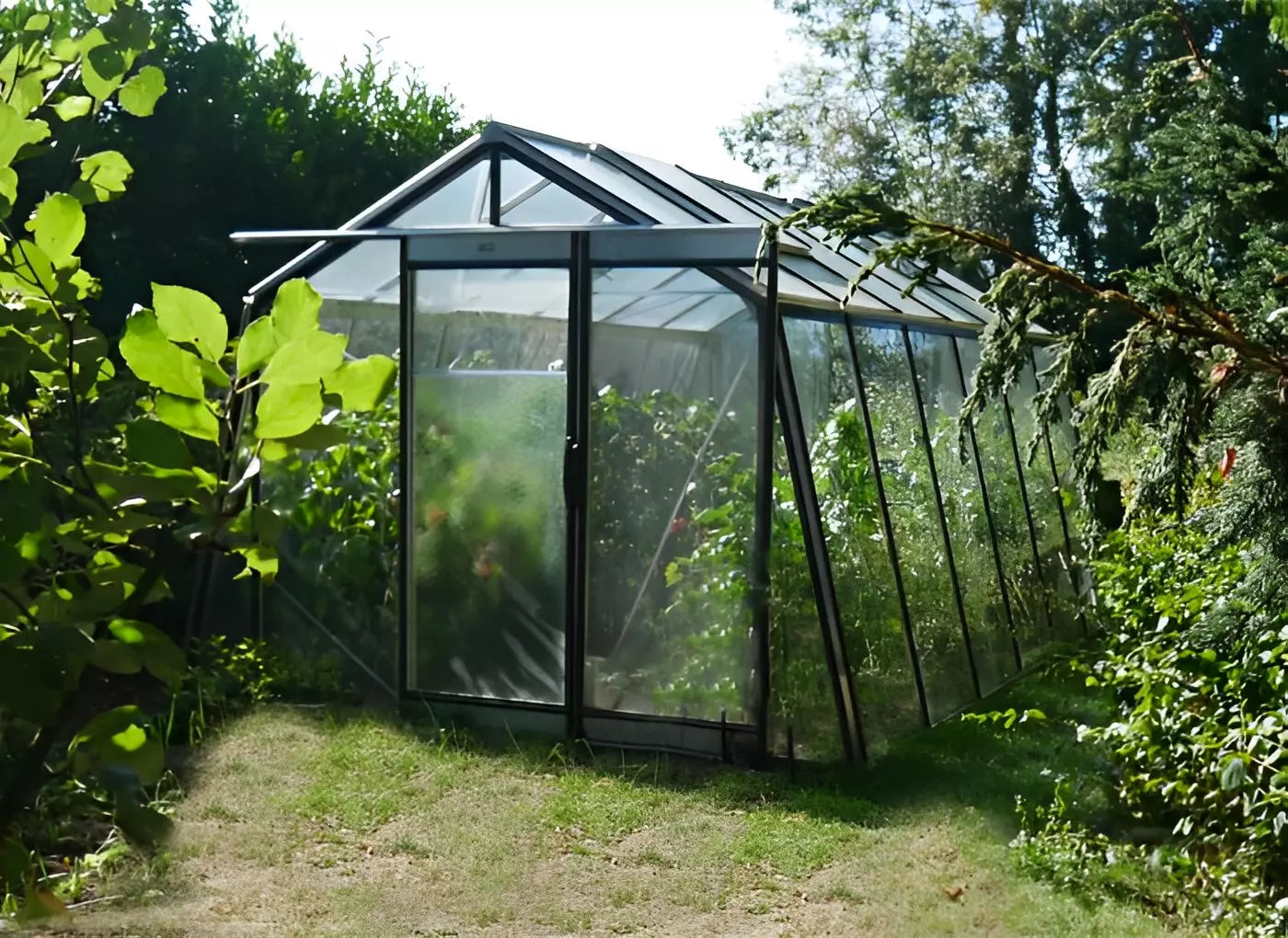 serre-jardin-verre-paroi-oblique-belgique-ACD-pas-cher