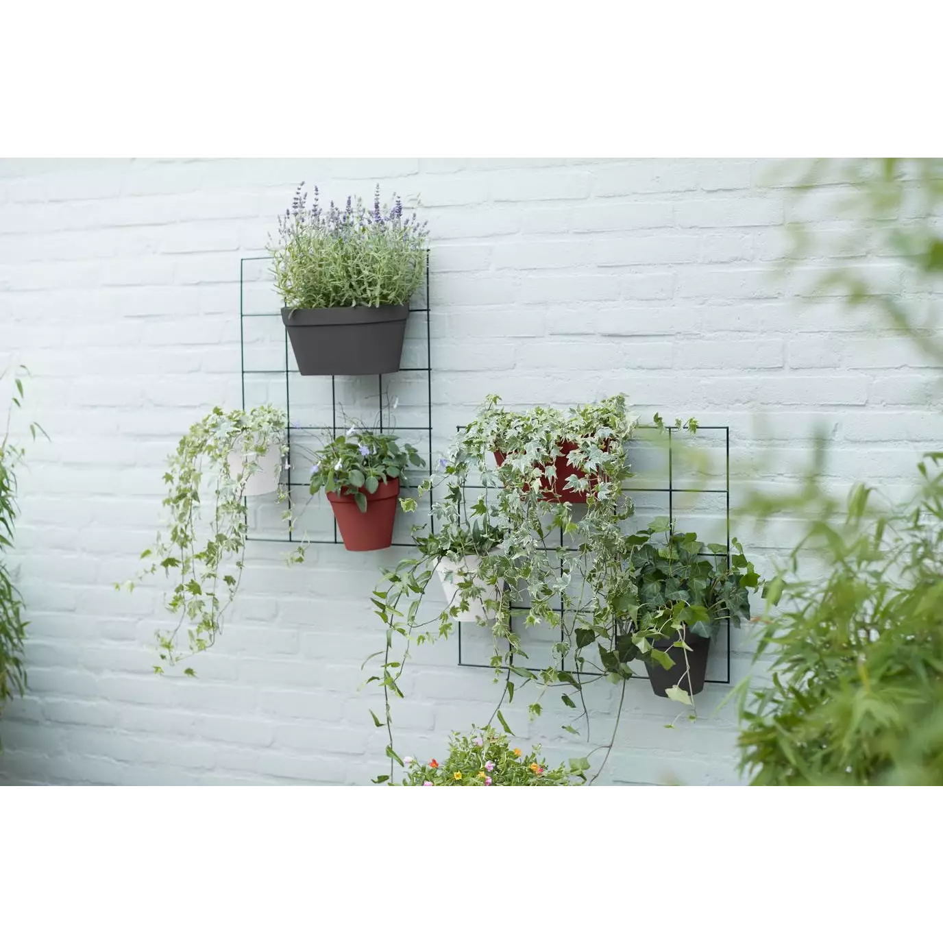 Pot Mural Plastique <br> Wall duo (x10)