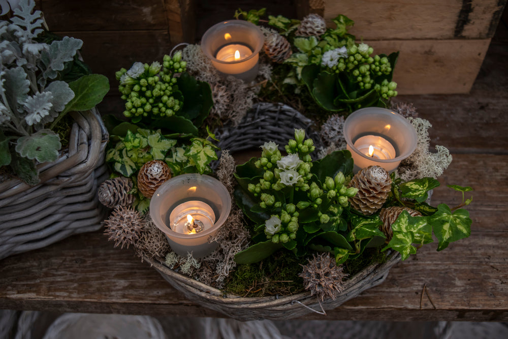 comment planter dans un panier en osier