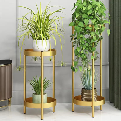 Porte Plantes <br>  Dorado