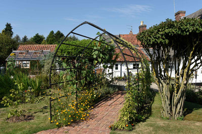 Arche-exterieur-Gothique