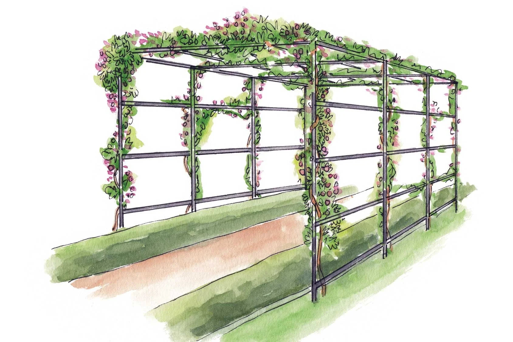 Arche de Jardin - Cathédrale