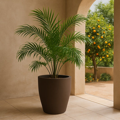 Grand_Cache_Pot_-_Exterieur