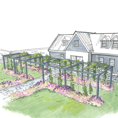 Pergola_Aluminium_exterieur_pour_PlantesGrimpantes_dessin