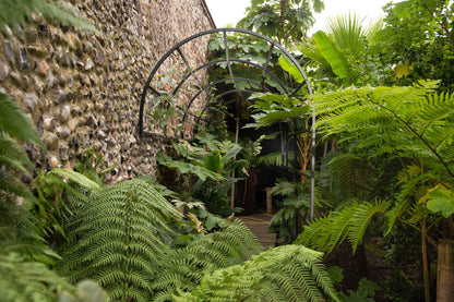 Pergola_Mural_Tunnel