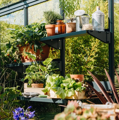 Étagère de Serre - Azura