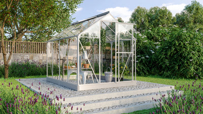 serre jardin aluminium verre trempé 