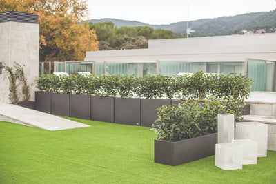 Jardinière -Urban Bas