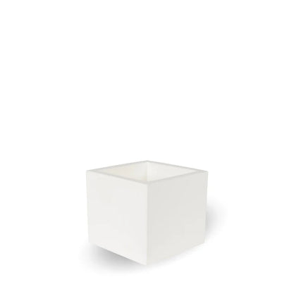 Pot - Narciso