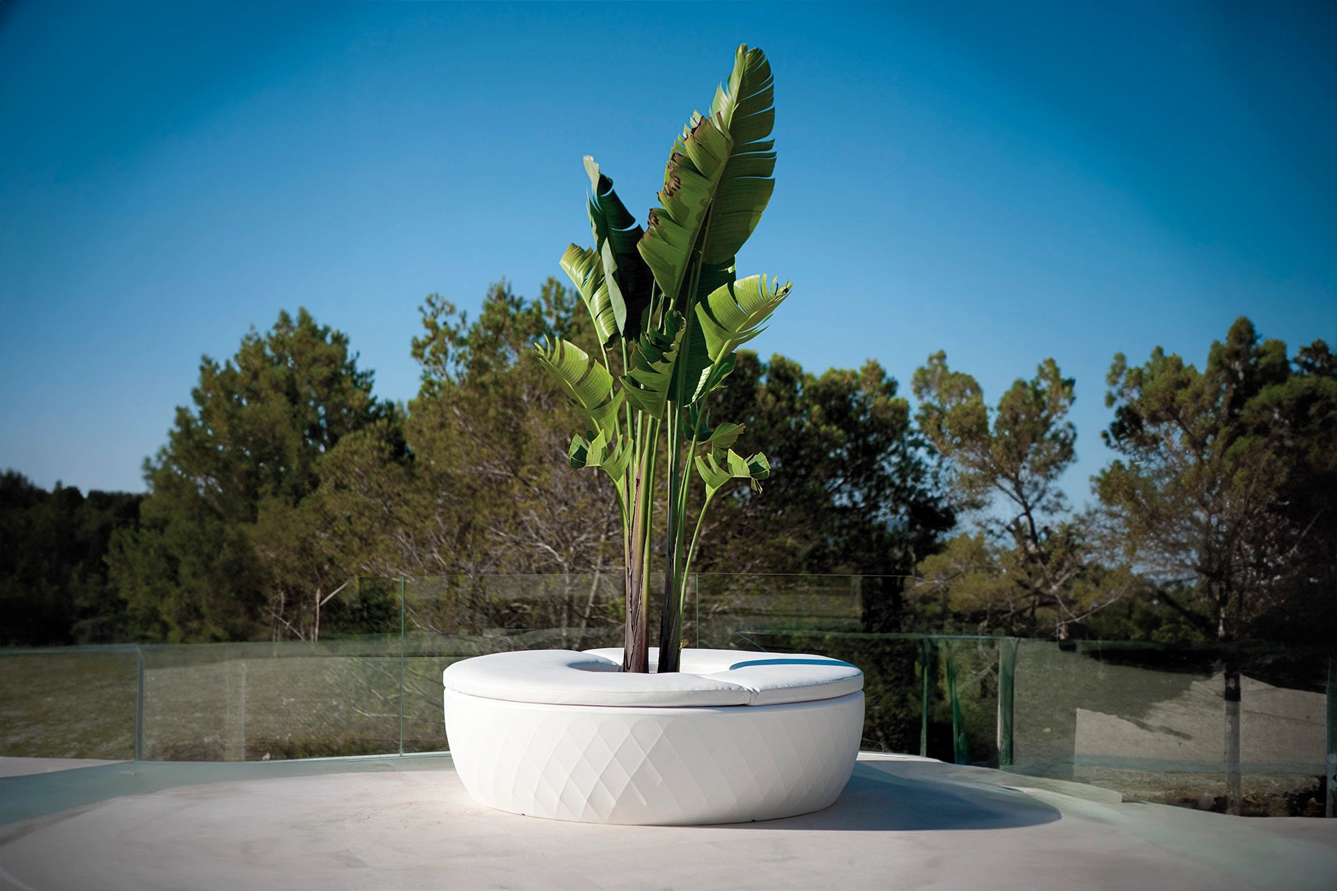 jardinière vase blanche banc