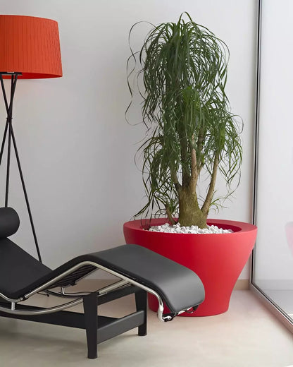 jardiniere vasque rond et haut