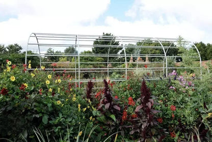 Arche de Jardin - Roman Lichen