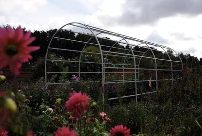 Arche de Jardin - Roman Lichen