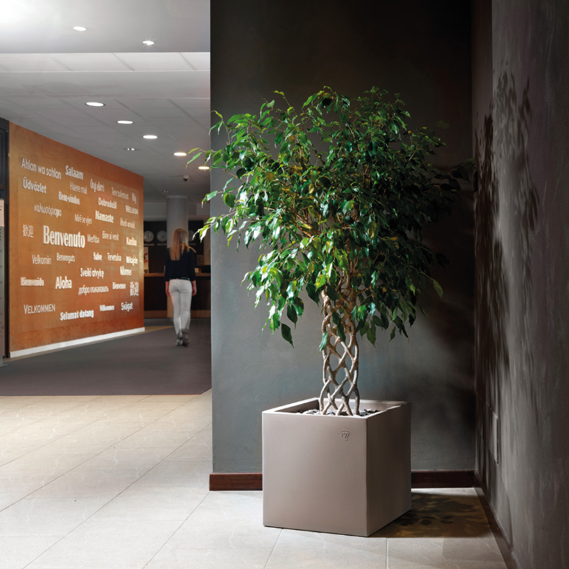 Pot Cosmos Cubo - Pot de Fleurs Carre Intérieur - Lyxo

all-groups