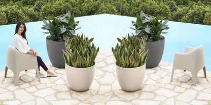 pot de fleurs vasque rond grande taille