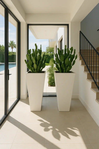 Deux pots carrés hauts Cuadrado Alto blancs plantés de cactus dans une entrée lumineuse