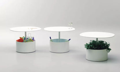 table-basse-plante-chic