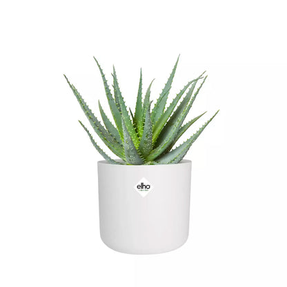 Pot de Fleurs Plastique Recyclable <br> B. for Soft