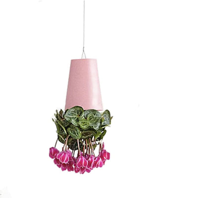 pot de fleurs suspendu à l'envers