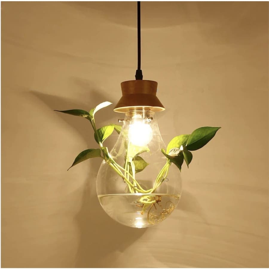 Suspension - Lyco