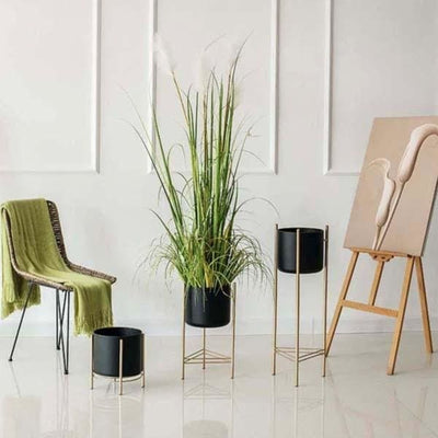 Pot sur Pied Grande Taille