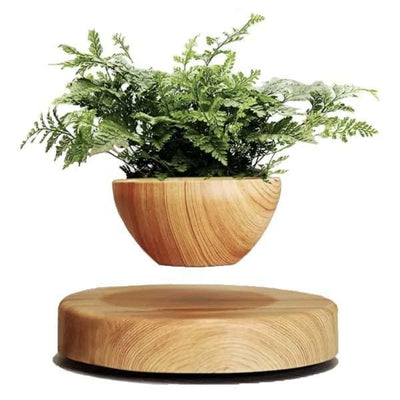 Pot <br> Babylonia