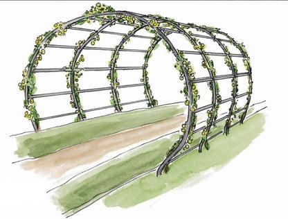 Arche de Jardin - Moon