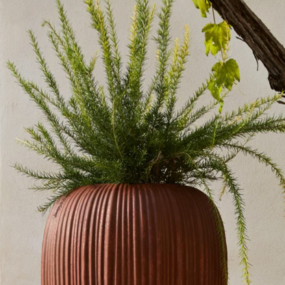 Pot - Skin