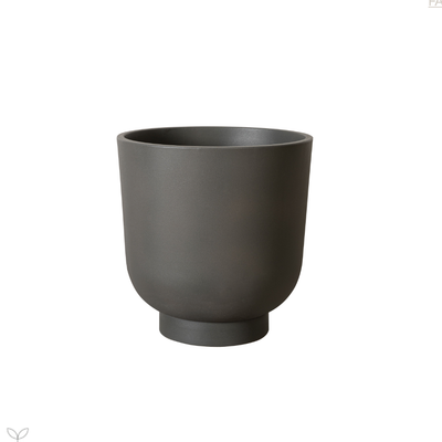 Pot - Bardi