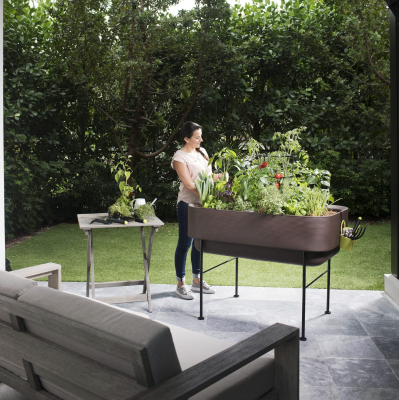 potager sur pied serre